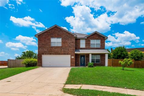 191 Brandie Mac Lane Waxahachie TX 75165