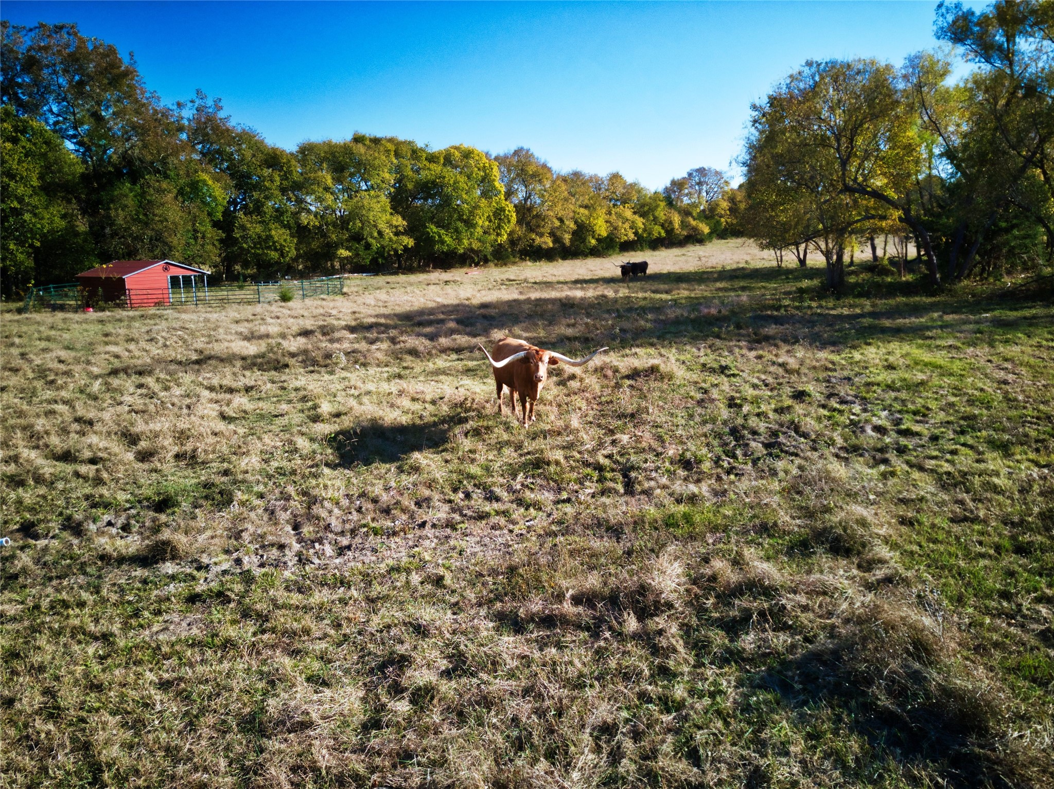 956 County Road 4231 Bonham TX 75418