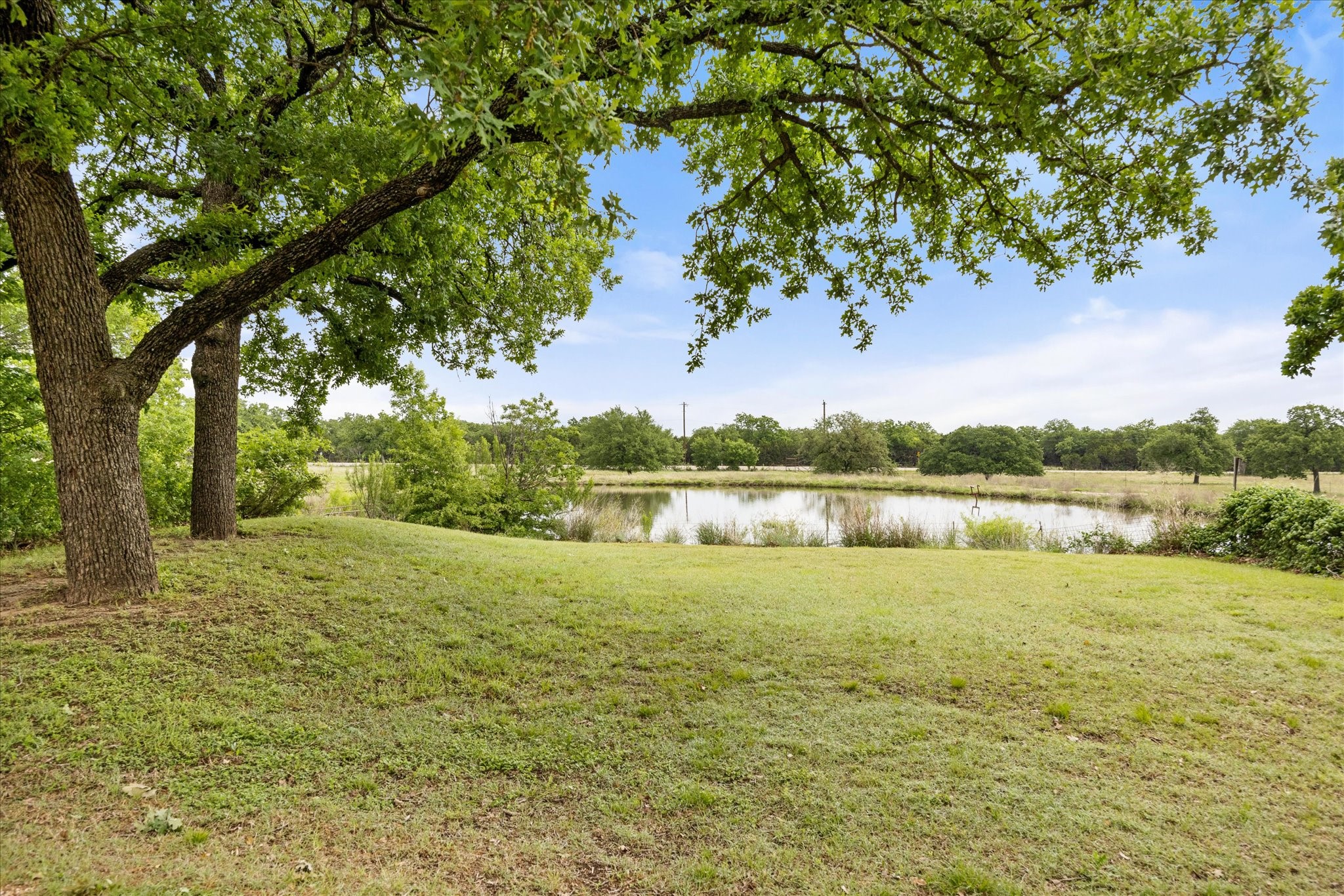 3165 Fm 51 Bluff Dale TX 76433