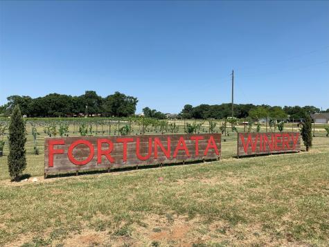 7521 Fenton Parkway Pilot Point TX 76258