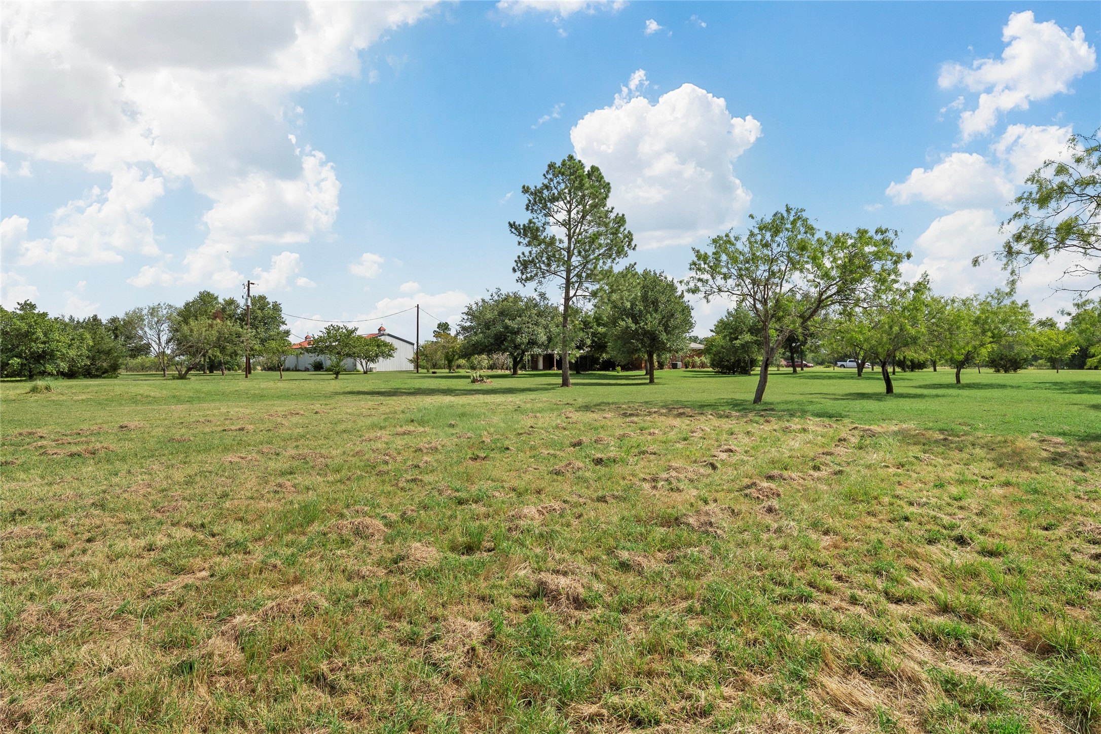 689 Lcr 662 Kosse TX 76653