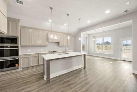 272 Sparkling Springs Drive Waxahachie TX 75165