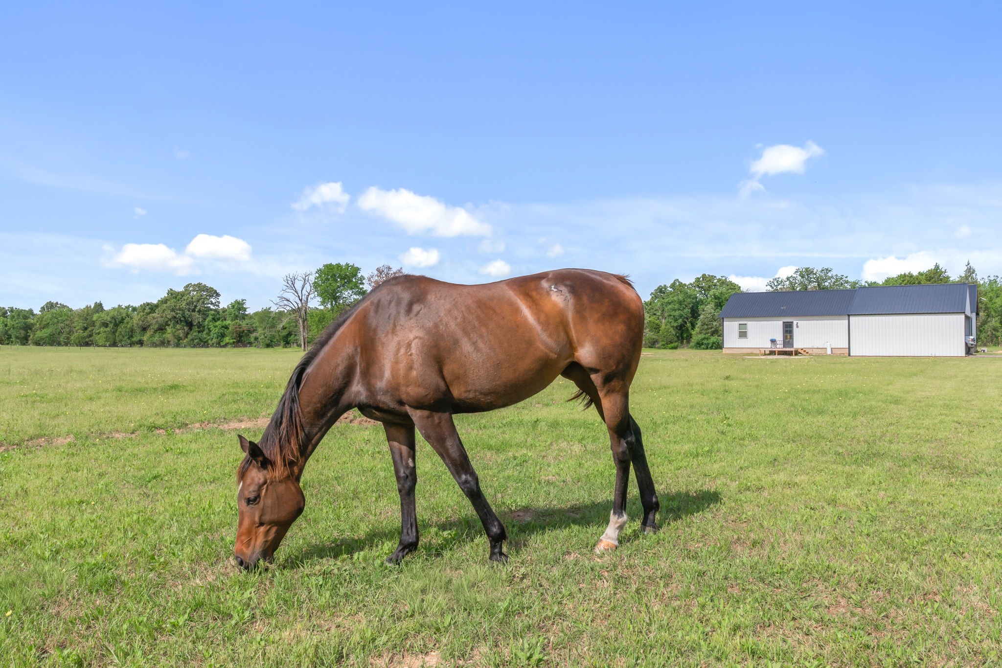 15703 County Road 2854 Eustace TX 75124