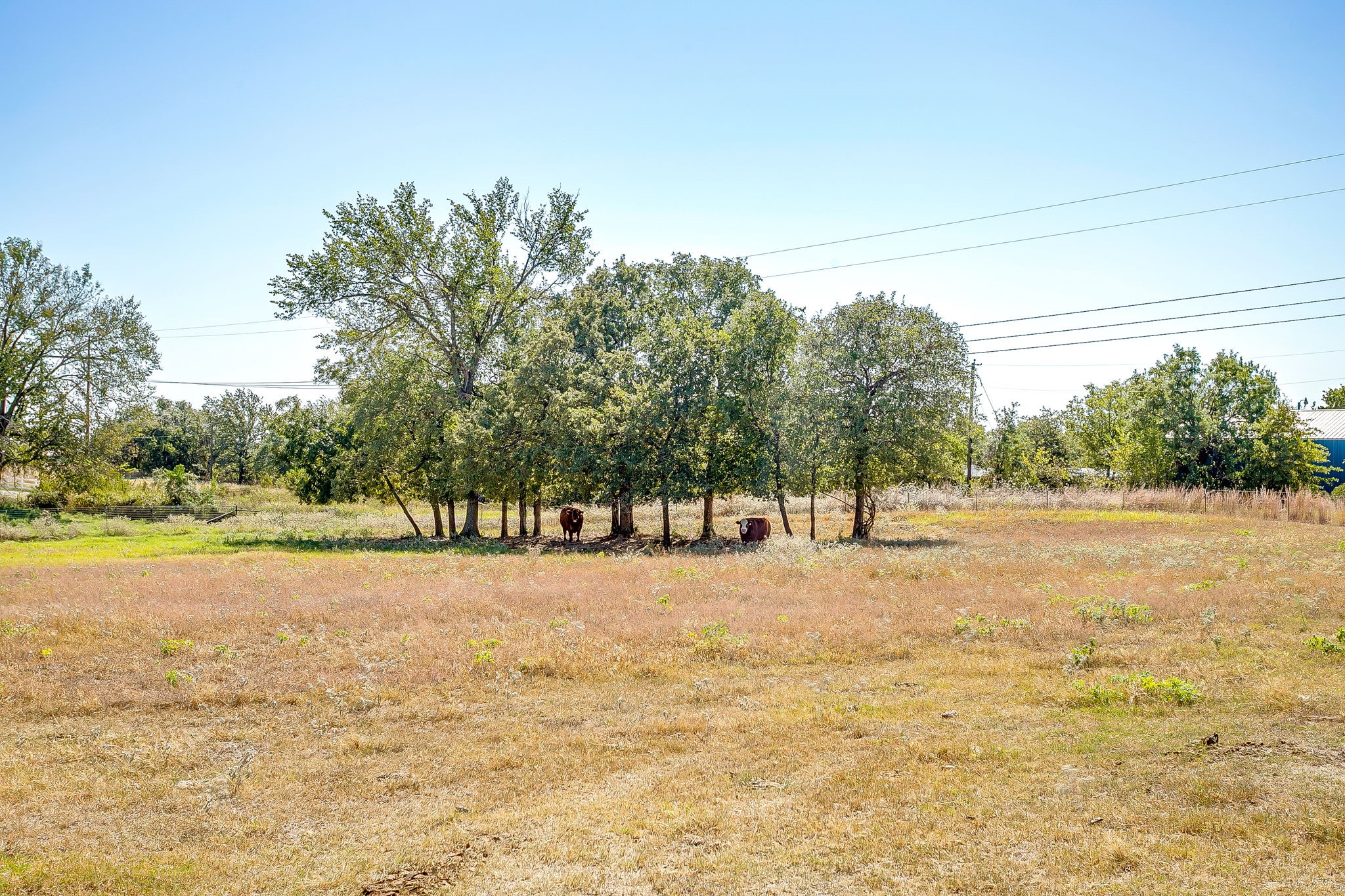 229 Oak Tree Court Poolville TX 76487