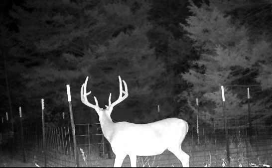 3235 N Fm 312 Winnsboro TX 75494