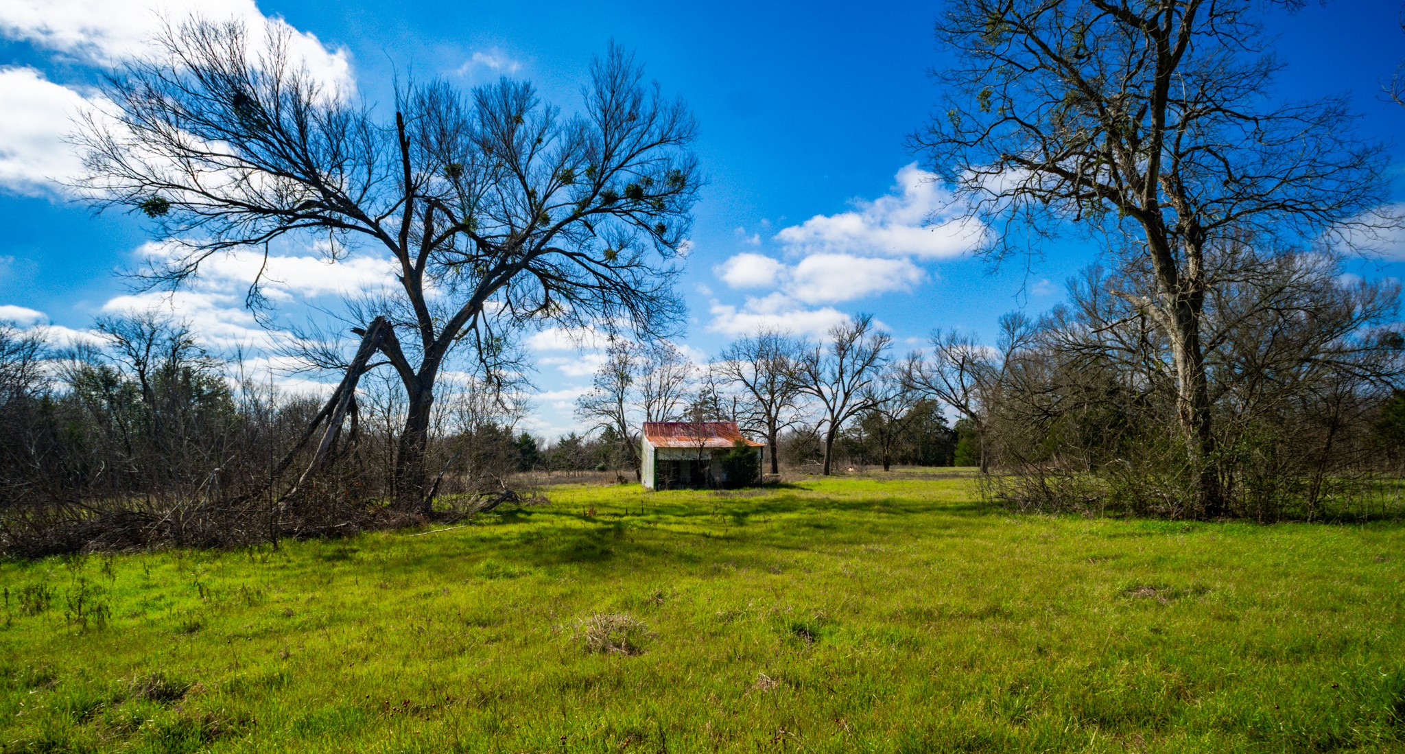 115 E Brazos Wortham TX 76693