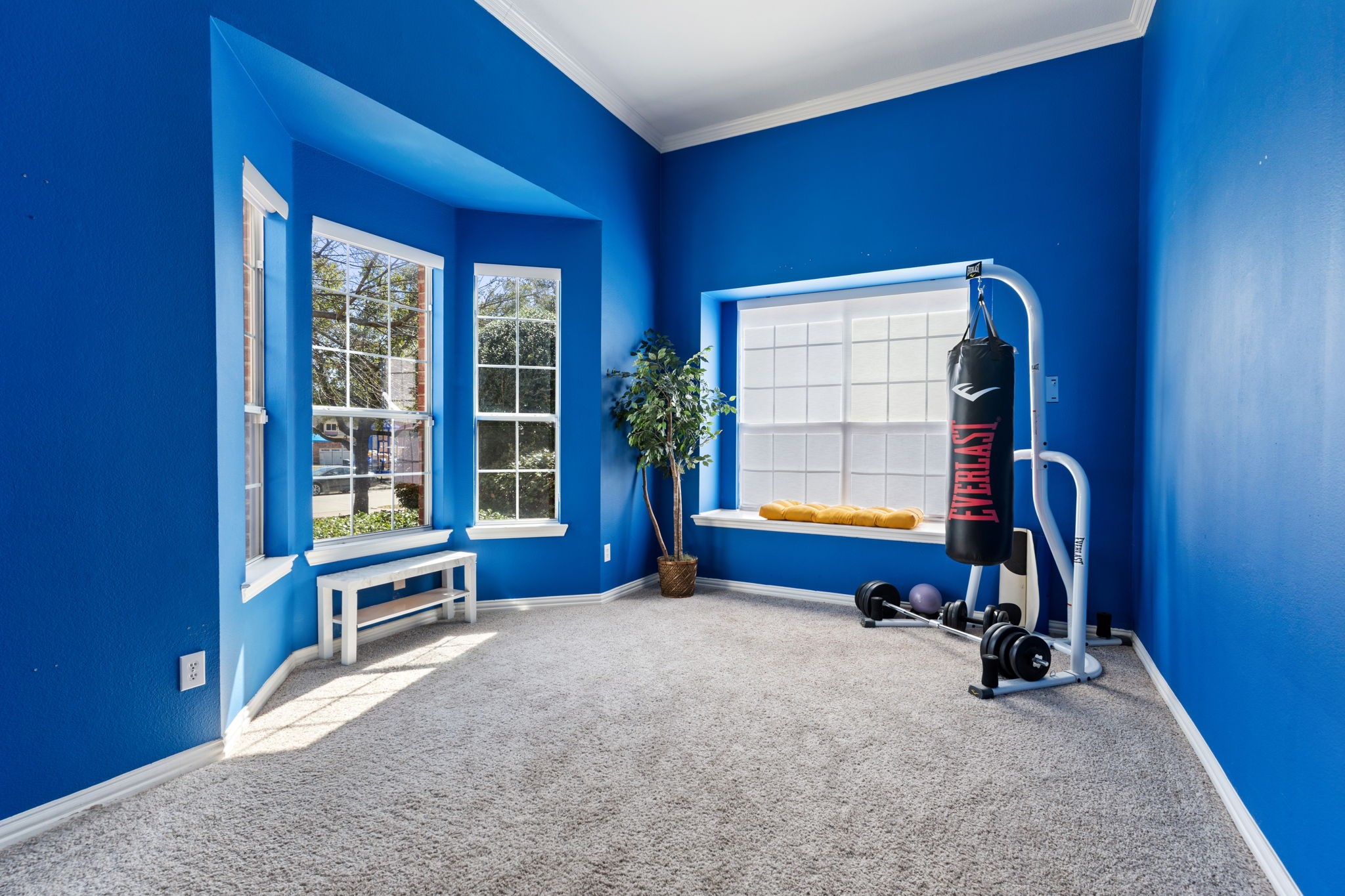 10005 Fairway Vista Drive Rowlett TX 75089