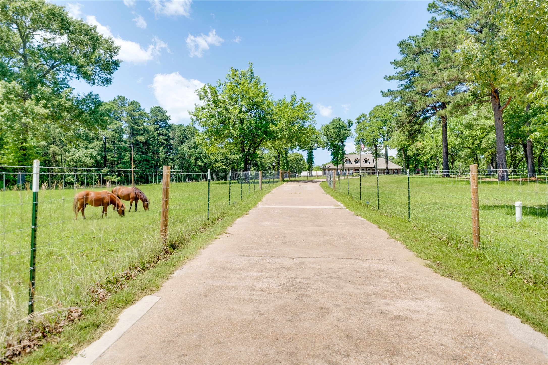 231 An County Road 2105 Palestine TX 75801