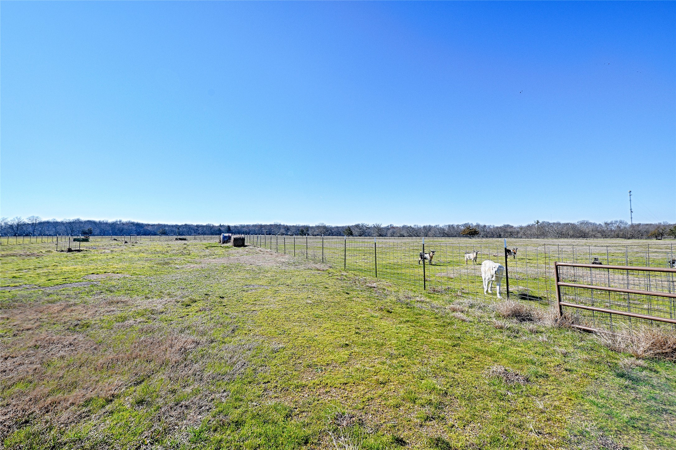 1634 Fm 1529 N Cooper TX 75432