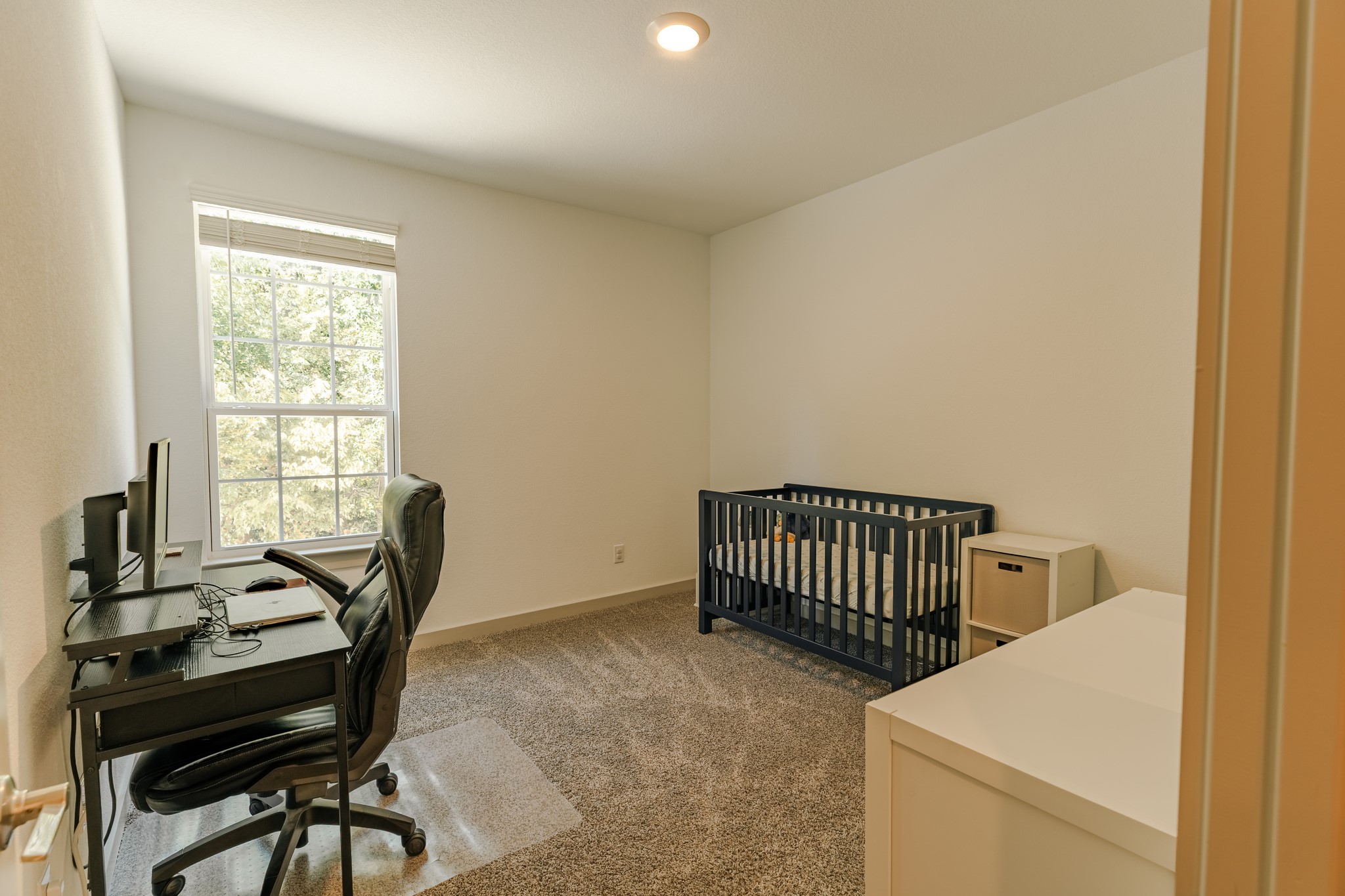 1646 Jude Drive Allen TX 75002