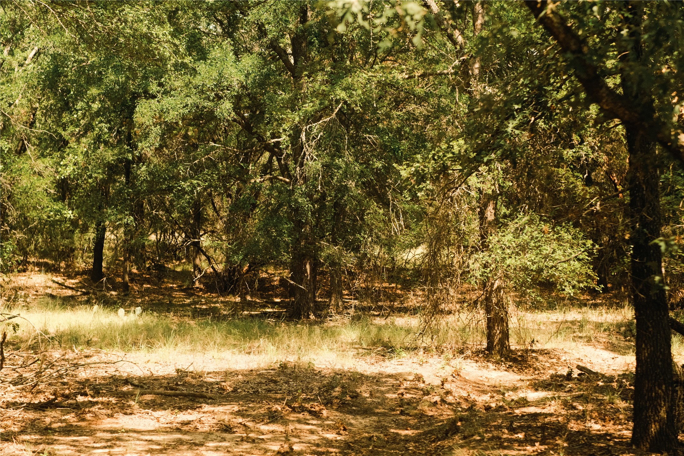 10405 Lipan Highway Lipan TX 76462