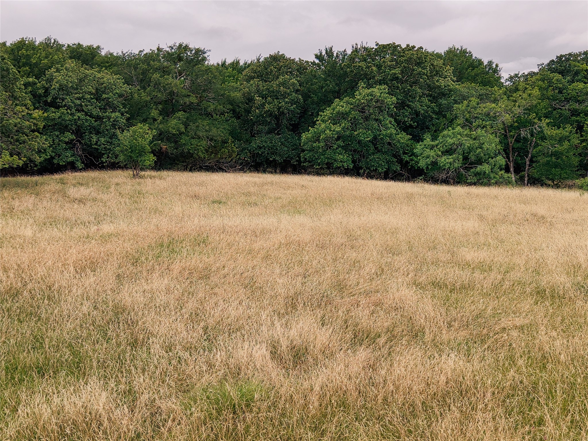 10405 Lipan Highway Lipan TX 76462