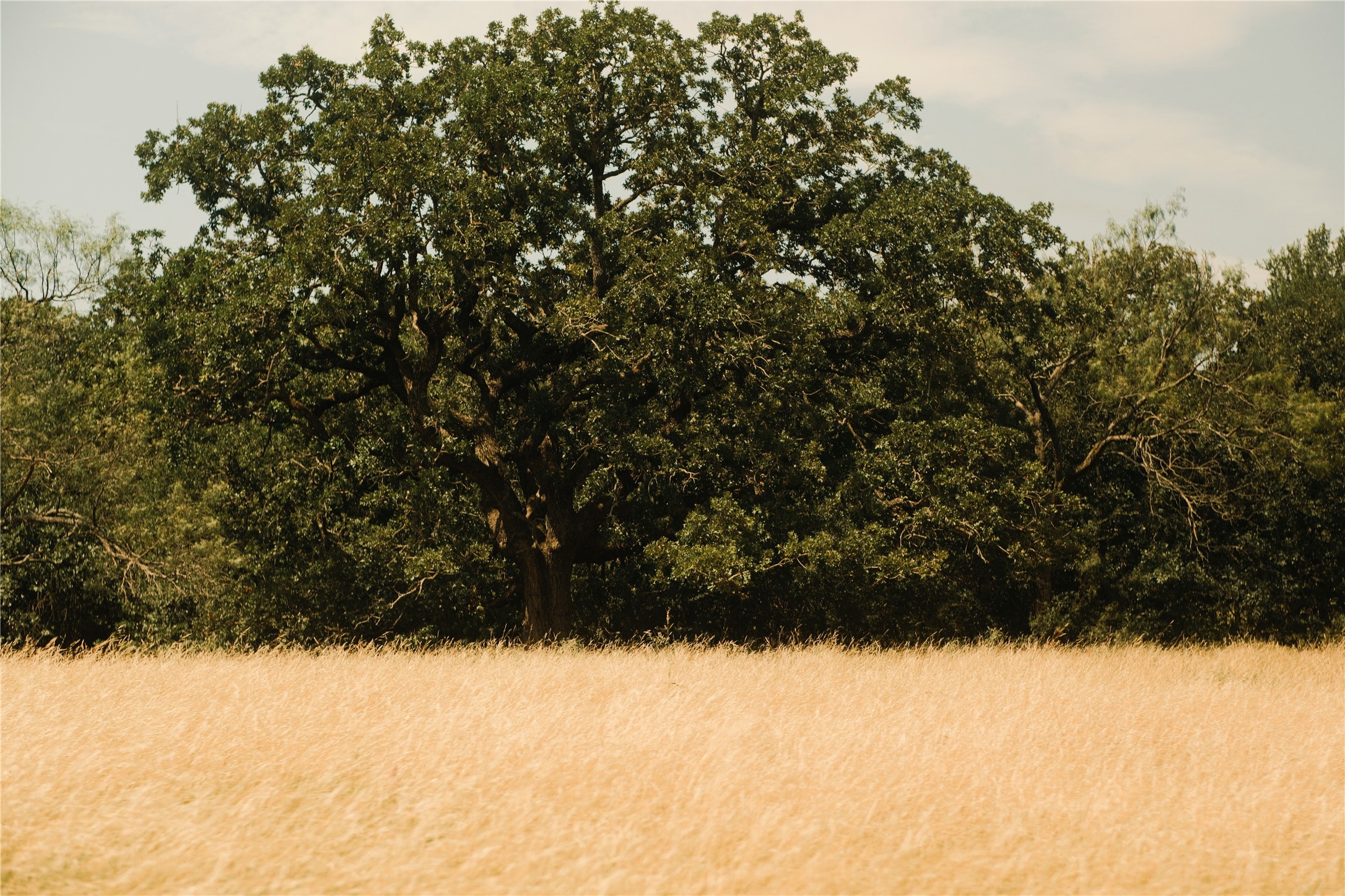 10405 Lipan Highway Lipan TX 76462