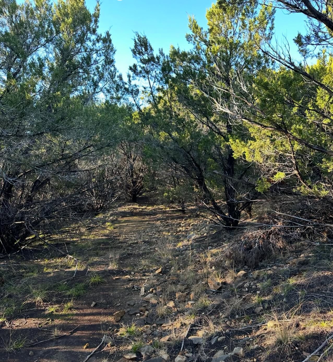 18800 Us Highway 180 Strawn TX 76429