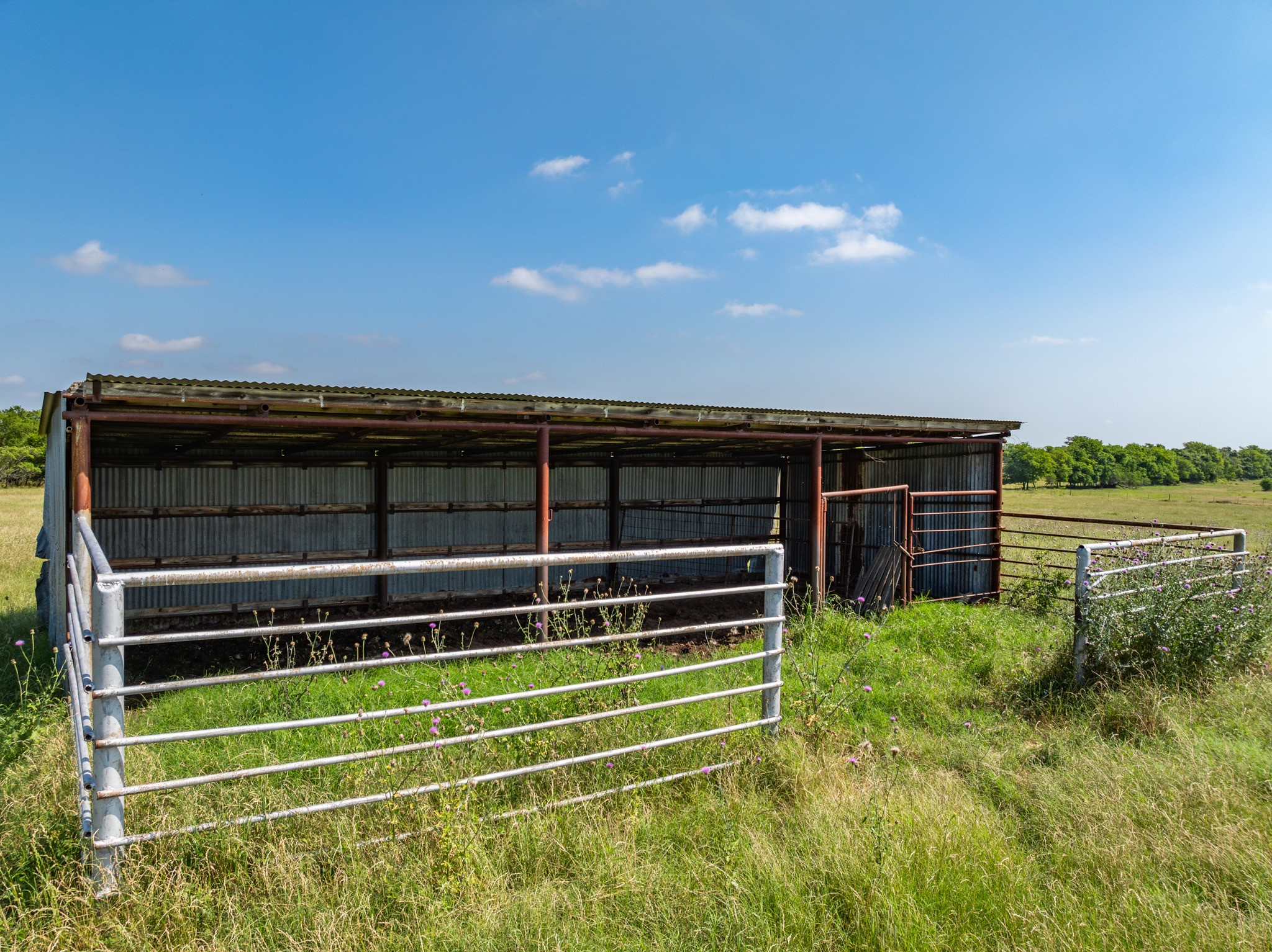 Tbd County Road 646 Thornton TX 76687