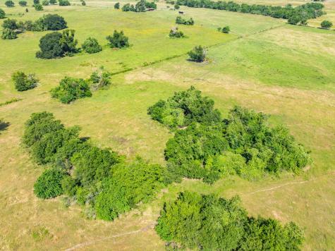 Tbd County Road 646 Thornton TX 76687