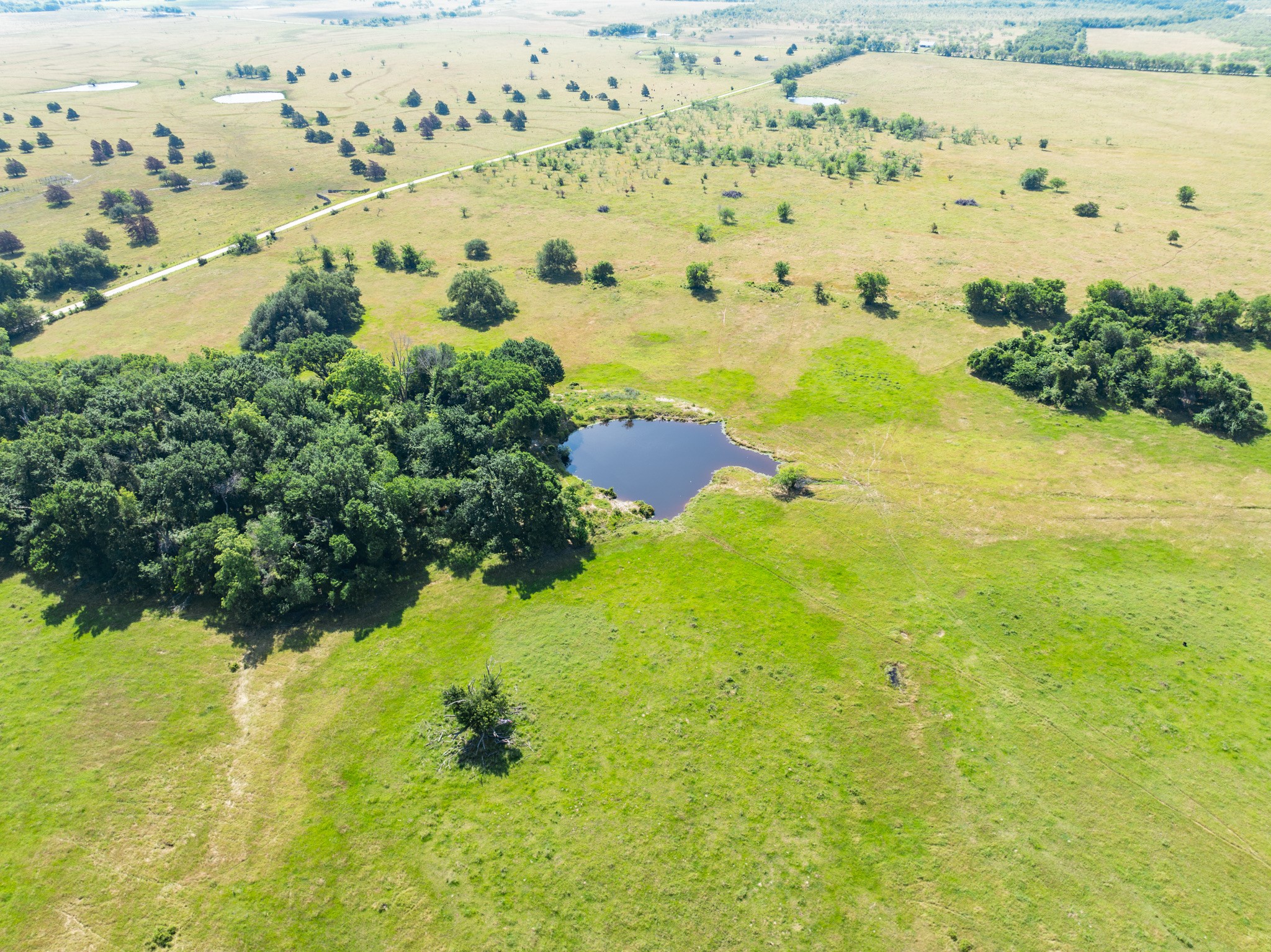 Tbd County Road 646 Thornton TX 76687