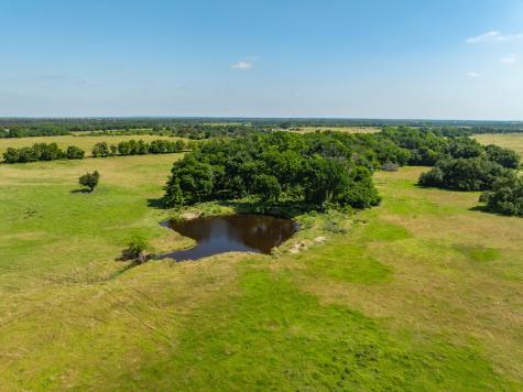 Tbd County Road 646 Thornton TX 76687