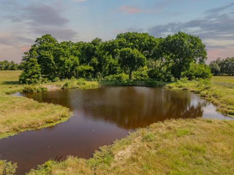 Tbd County Road 646 Thornton TX 76687