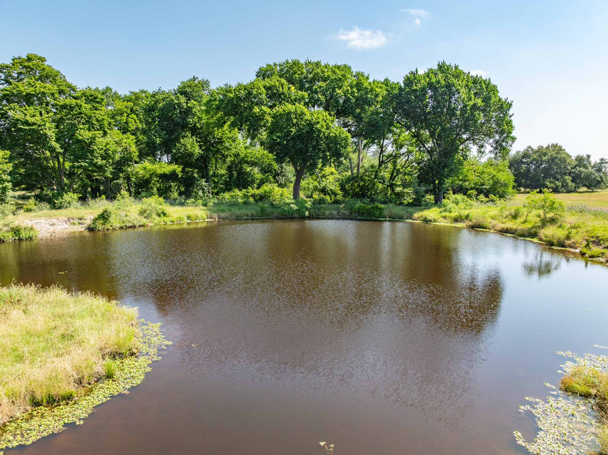 Tbd County Road 646 Thornton TX 76687