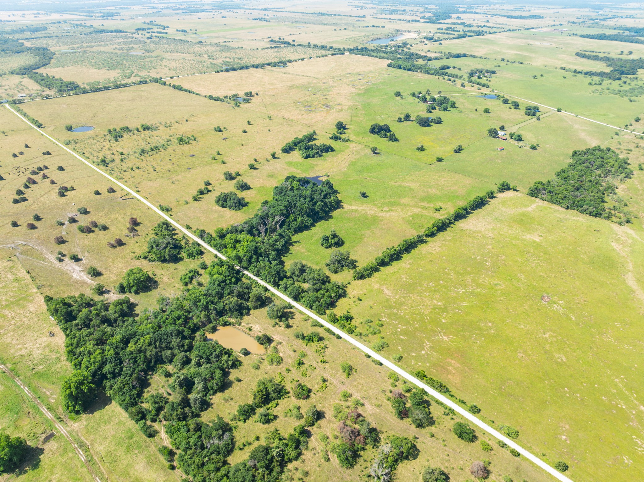 Tbd County Road 646 Thornton TX 76687