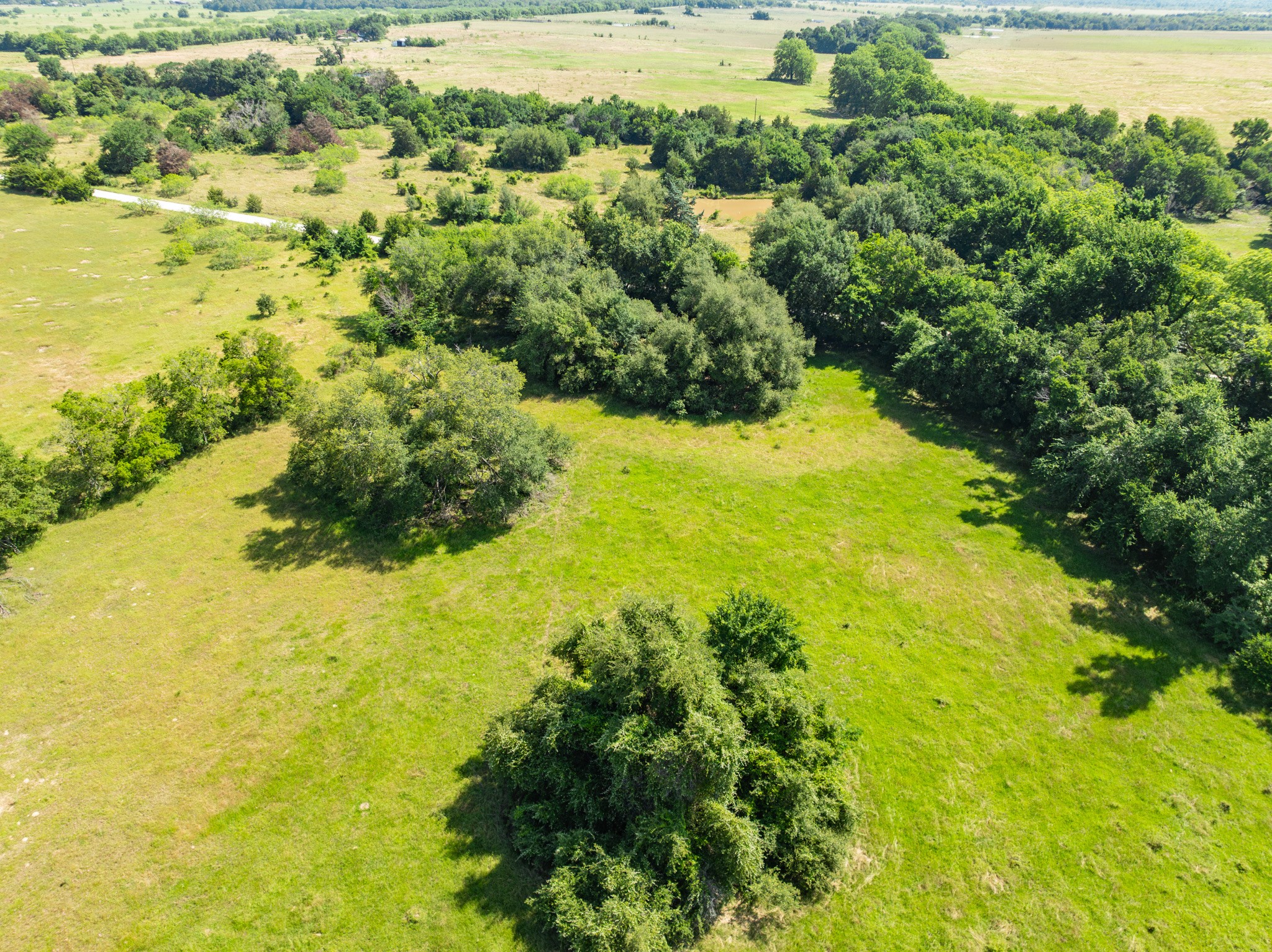 Tbd County Road 646 Thornton TX 76687