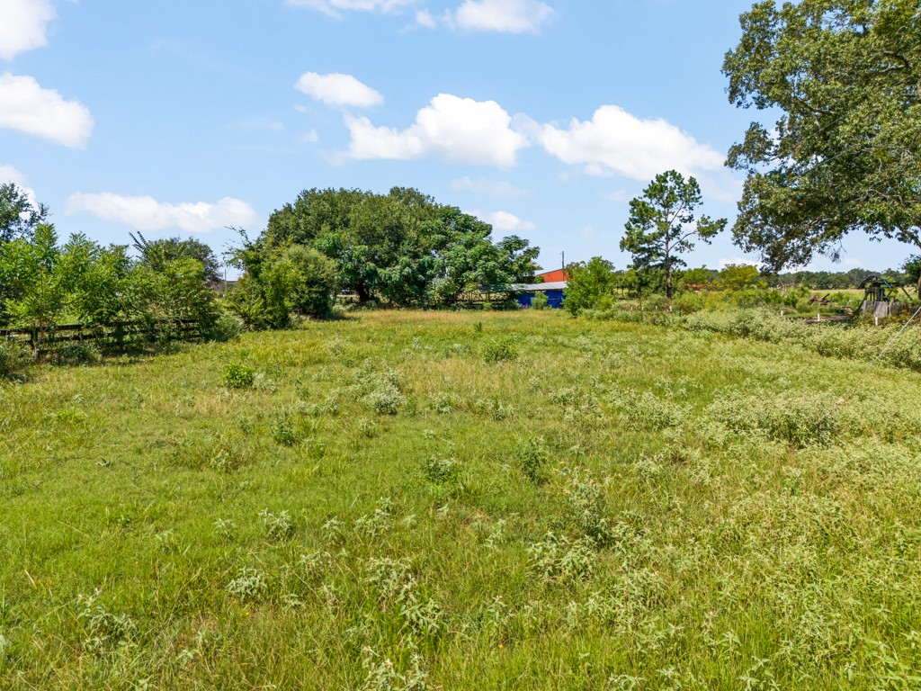 6404 Black Gum Road Gilmer TX 75644