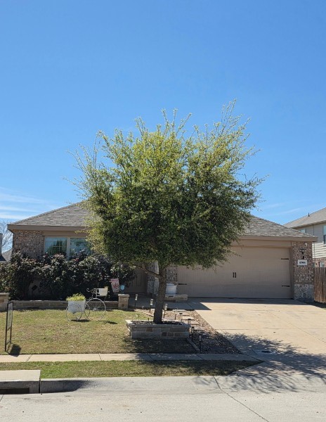1703 Sorghum Drive Princeton TX 75407