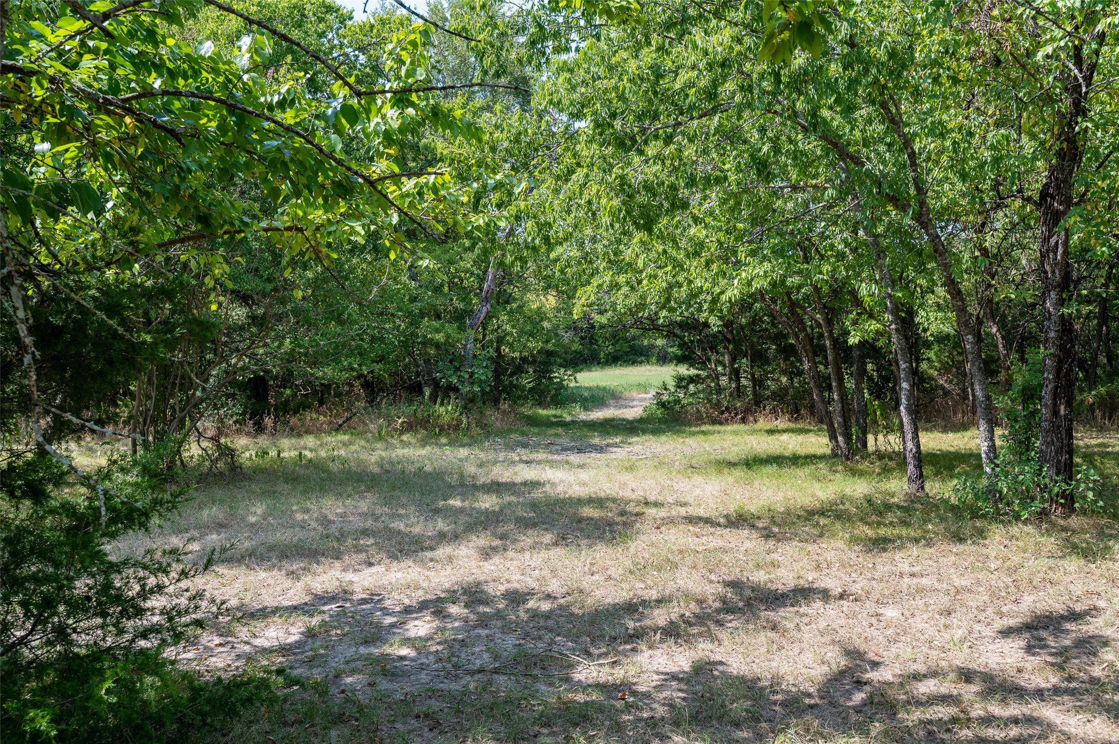 1579 County Road 3365 Ladonia TX 75449