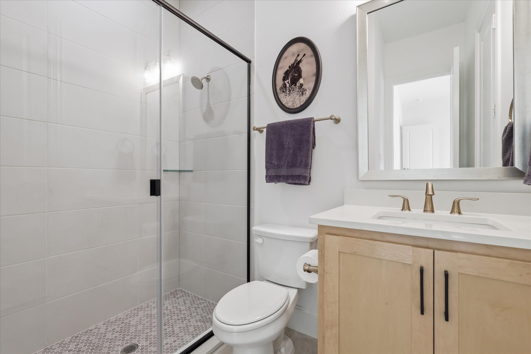7405 Canyon Point Argyle TX 76226