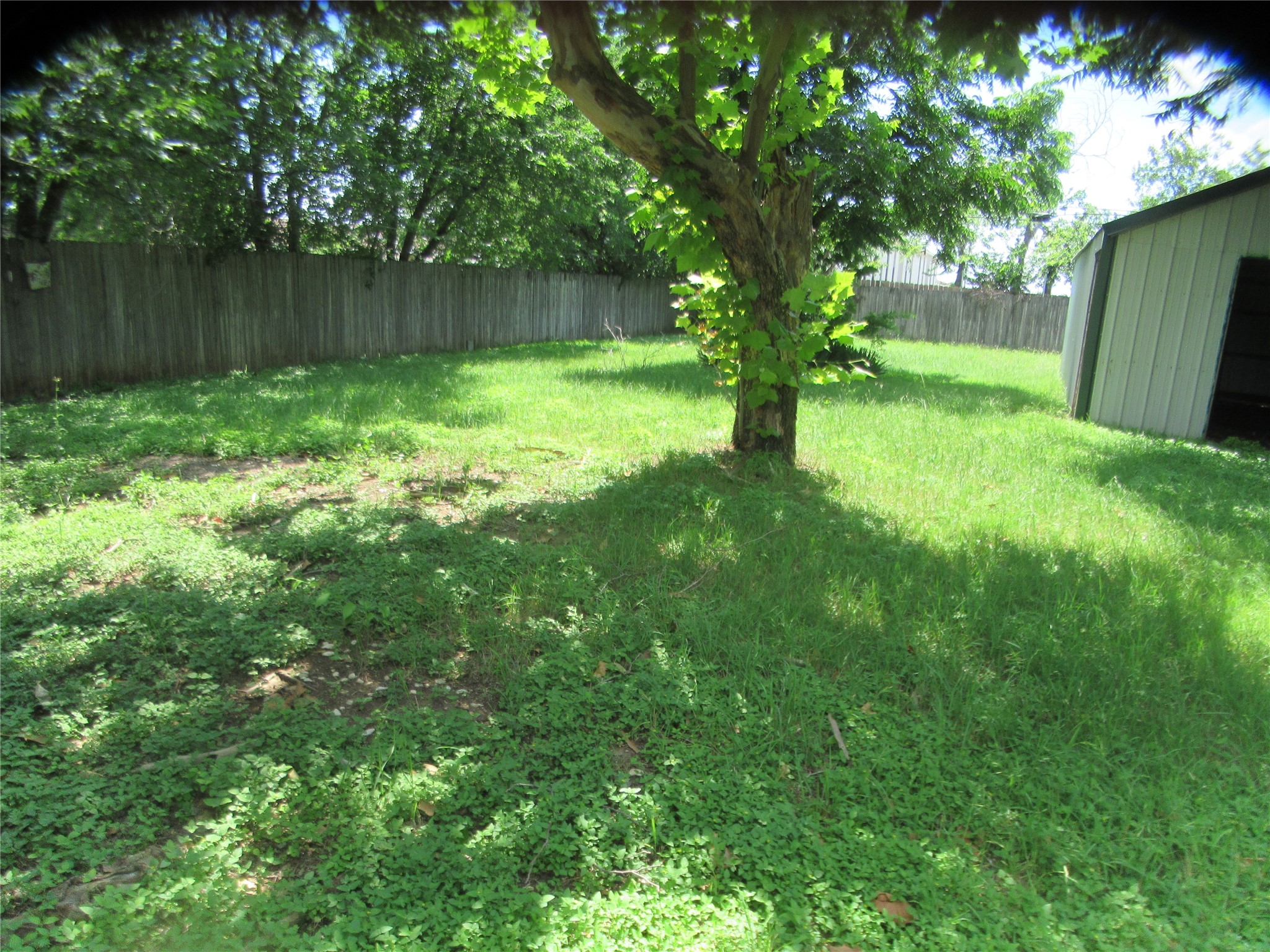 3104 Olive Place Fort Worth TX 76116