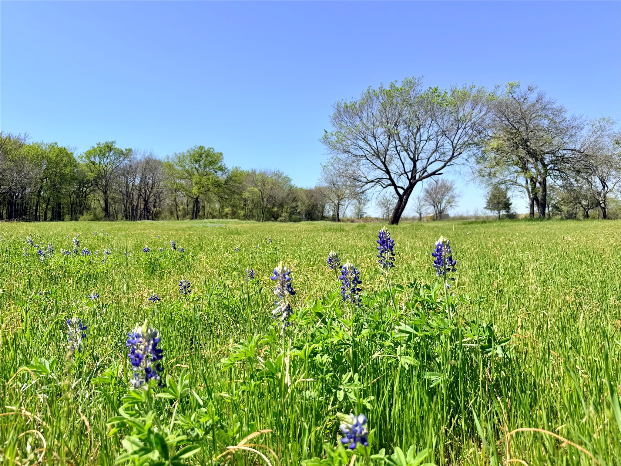 6239 Fm 879 Ennis TX 75119