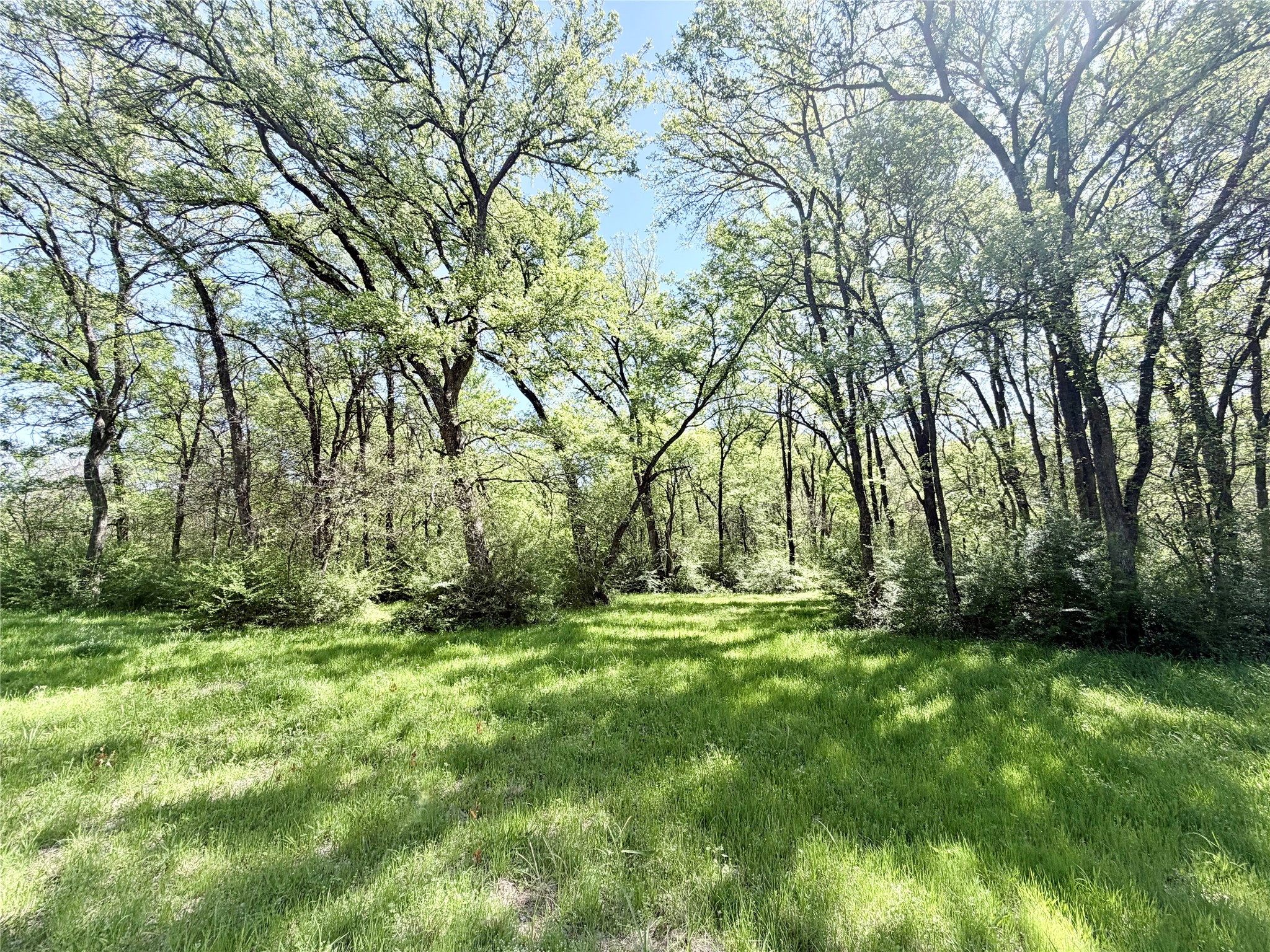 6239 Fm 879 Ennis TX 75119