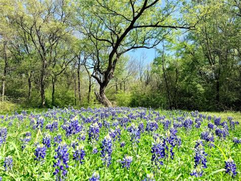 6239 Fm 879 Ennis TX 75119