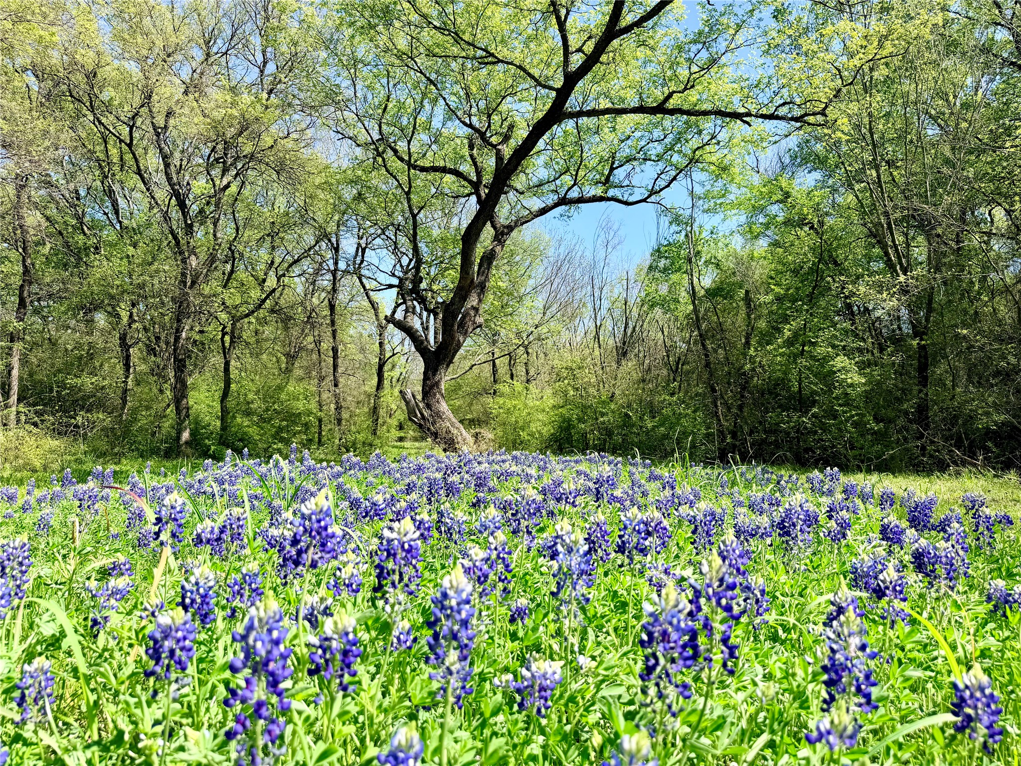 6239 Fm 879 Ennis TX 75119