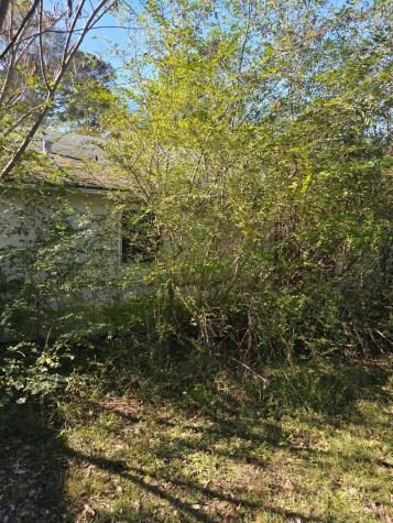 908 Burns Street Kilgore TX 75662
