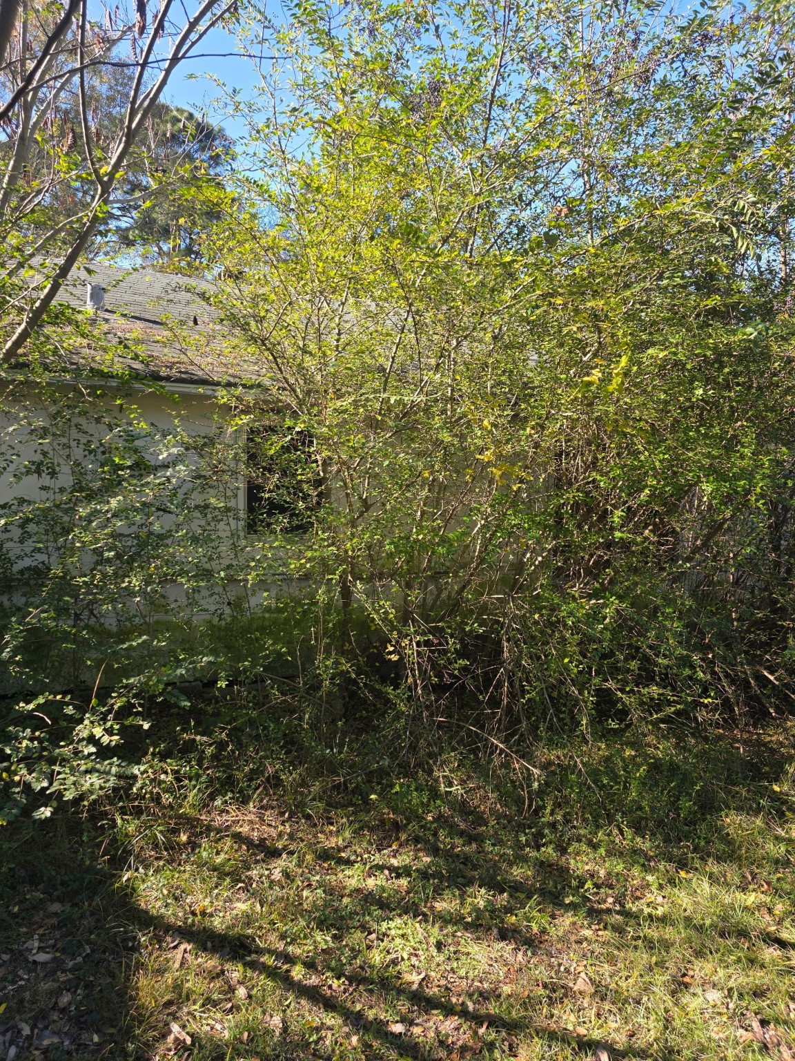 908 Burns Street Kilgore TX 75662