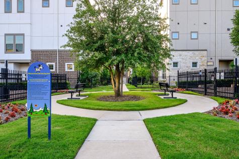 3704 Tussock Drive Dallas TX 75209
