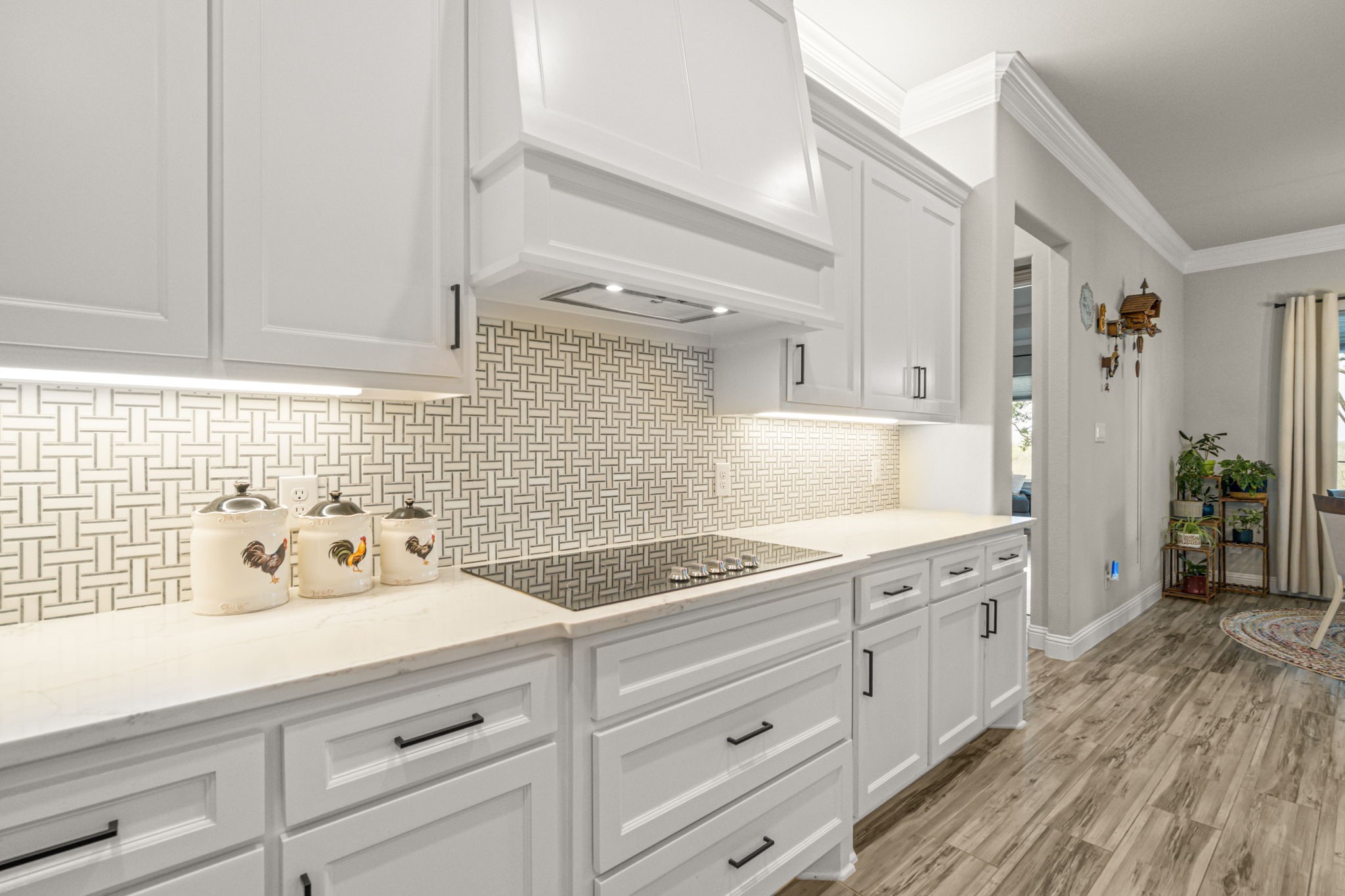 1004 Meadow Wood Terrace Azle TX 76020