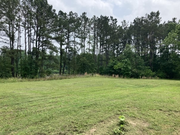 3000 County Road 1708 Jacksonville TX 75766
