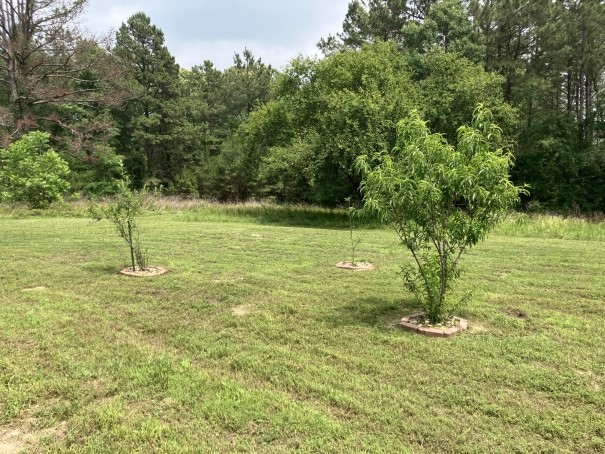 3000 County Road 1708 Jacksonville TX 75766