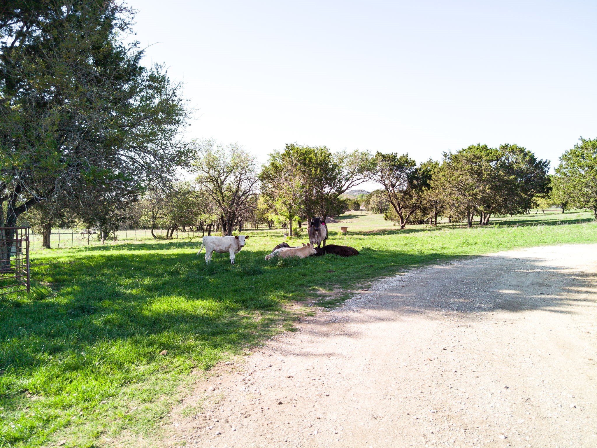 690-A County Road 4707 Kempner TX 76539
