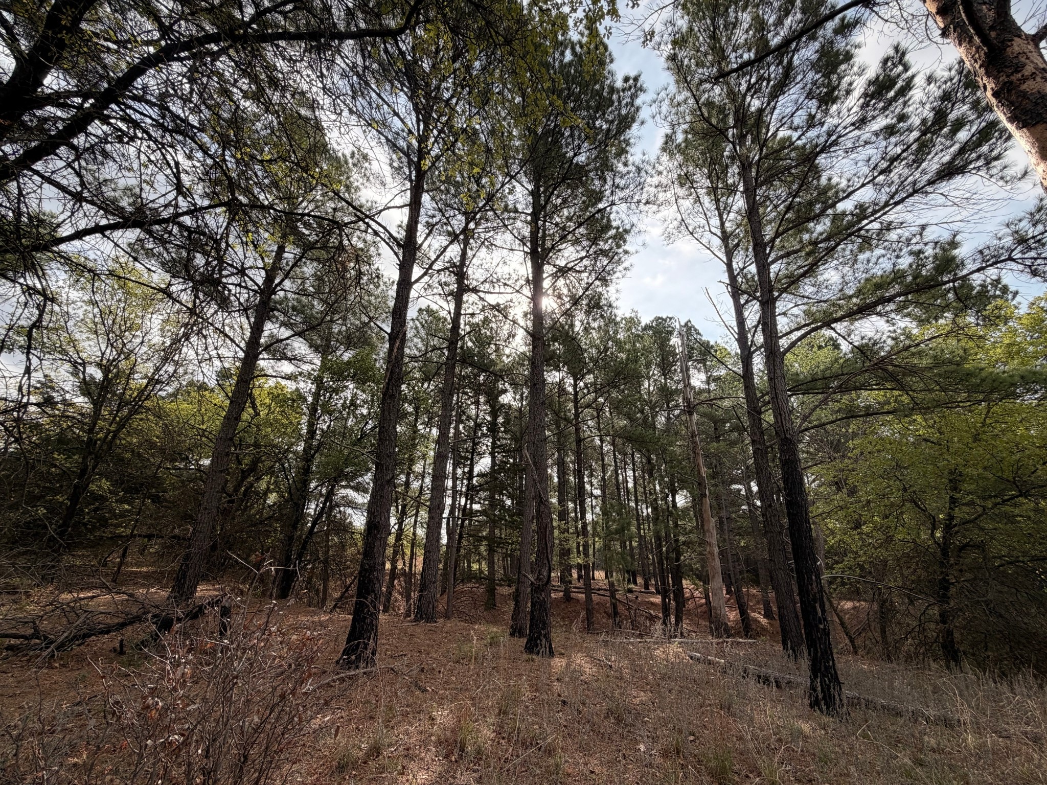 2548 County Road 2690 Alvord TX 76225