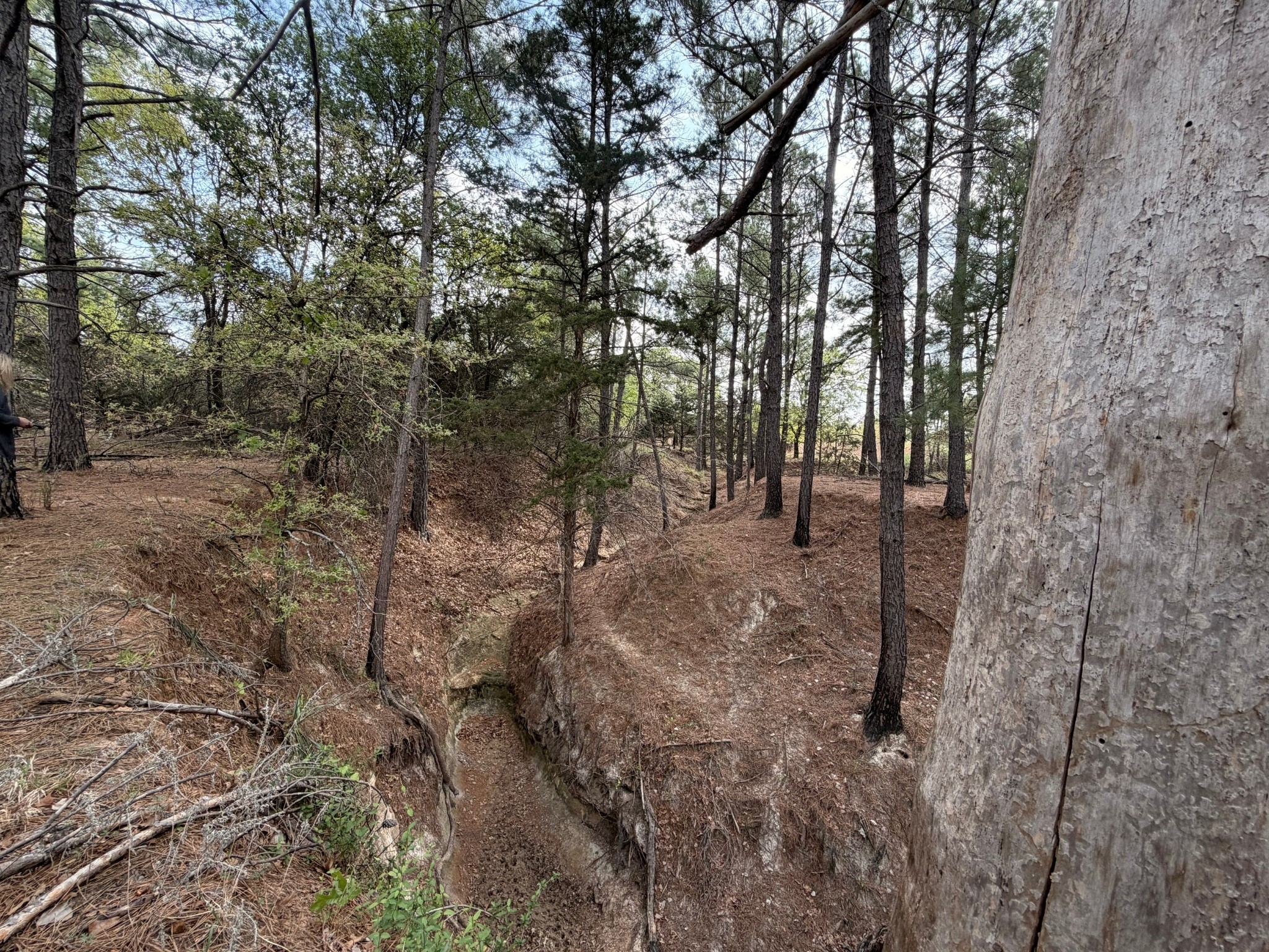 2548 County Road 2690 Alvord TX 76225