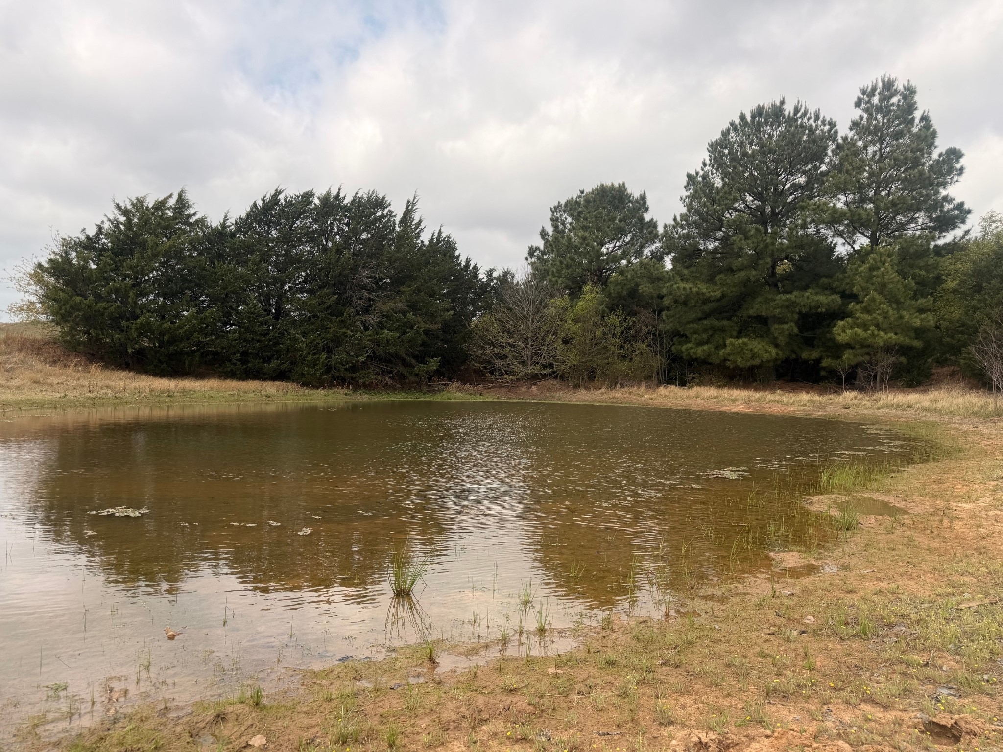 2548 County Road 2690 Alvord TX 76225