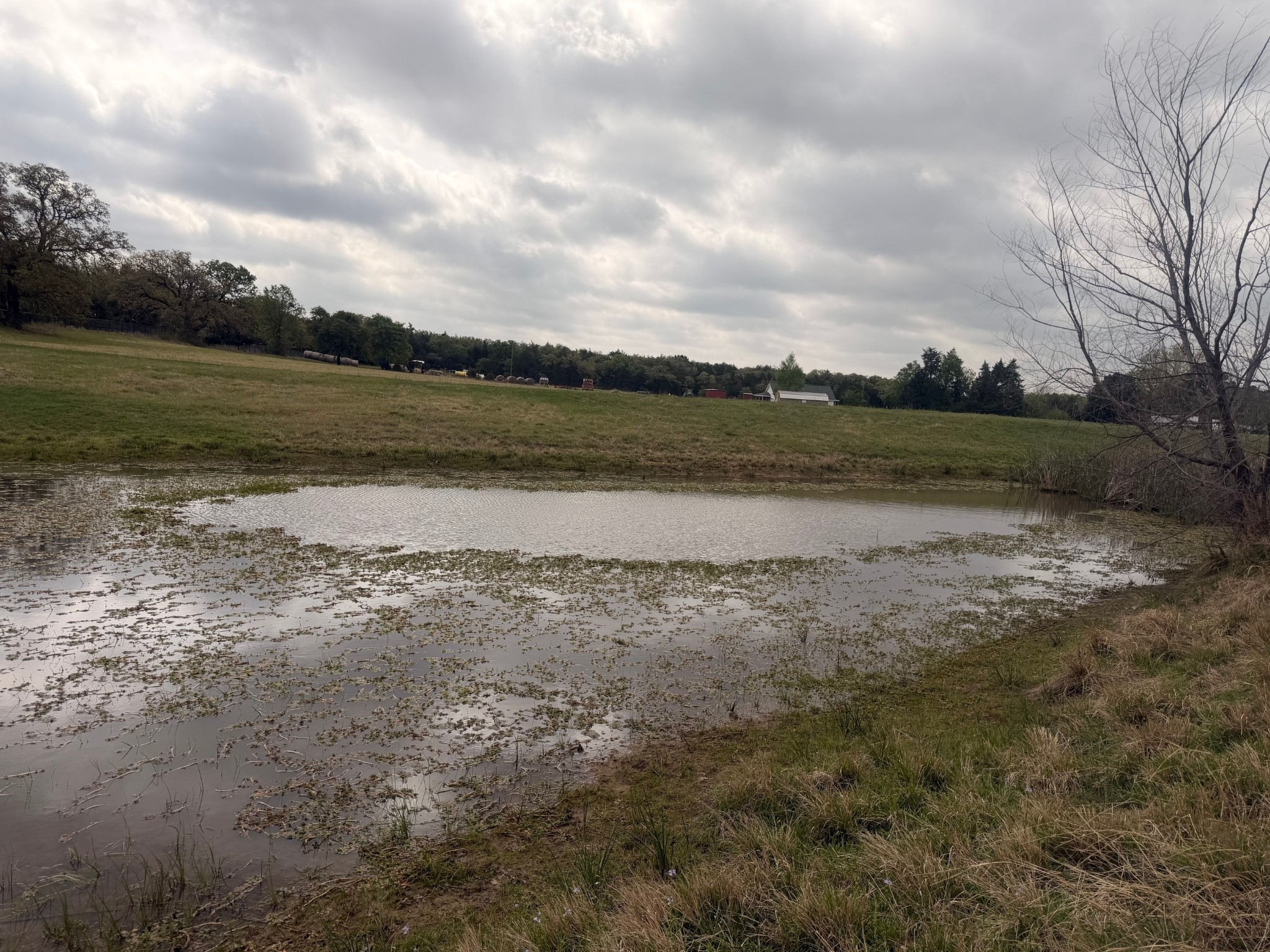 2548 County Road 2690 Alvord TX 76225