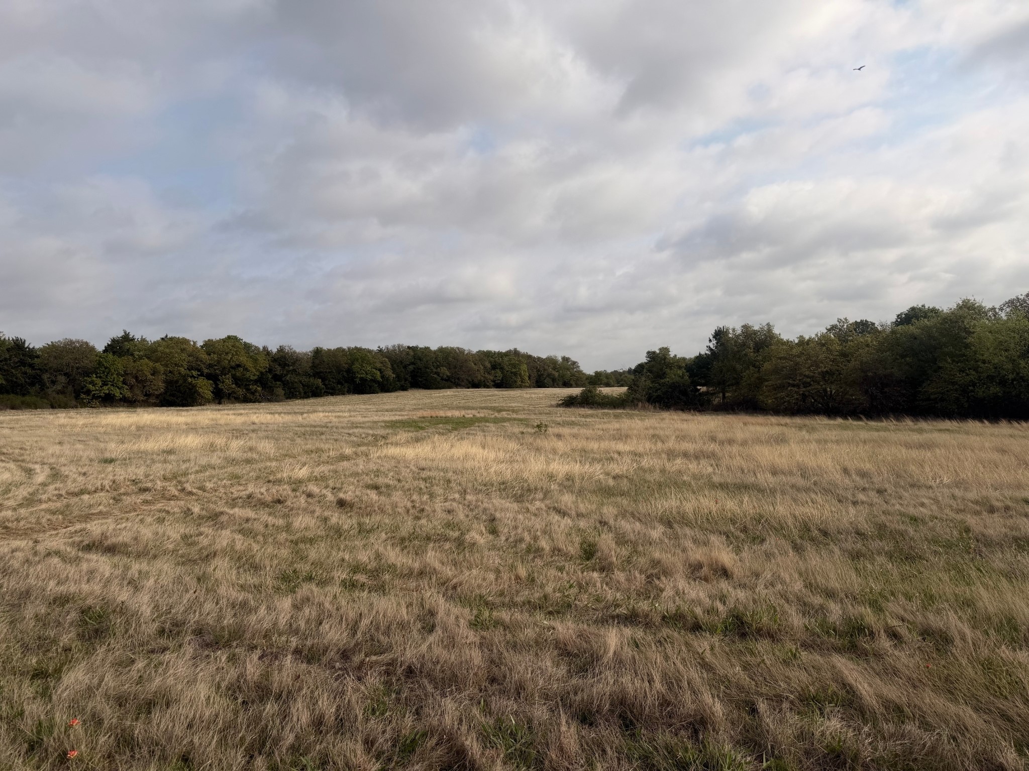 2548 County Road 2690 Alvord TX 76225