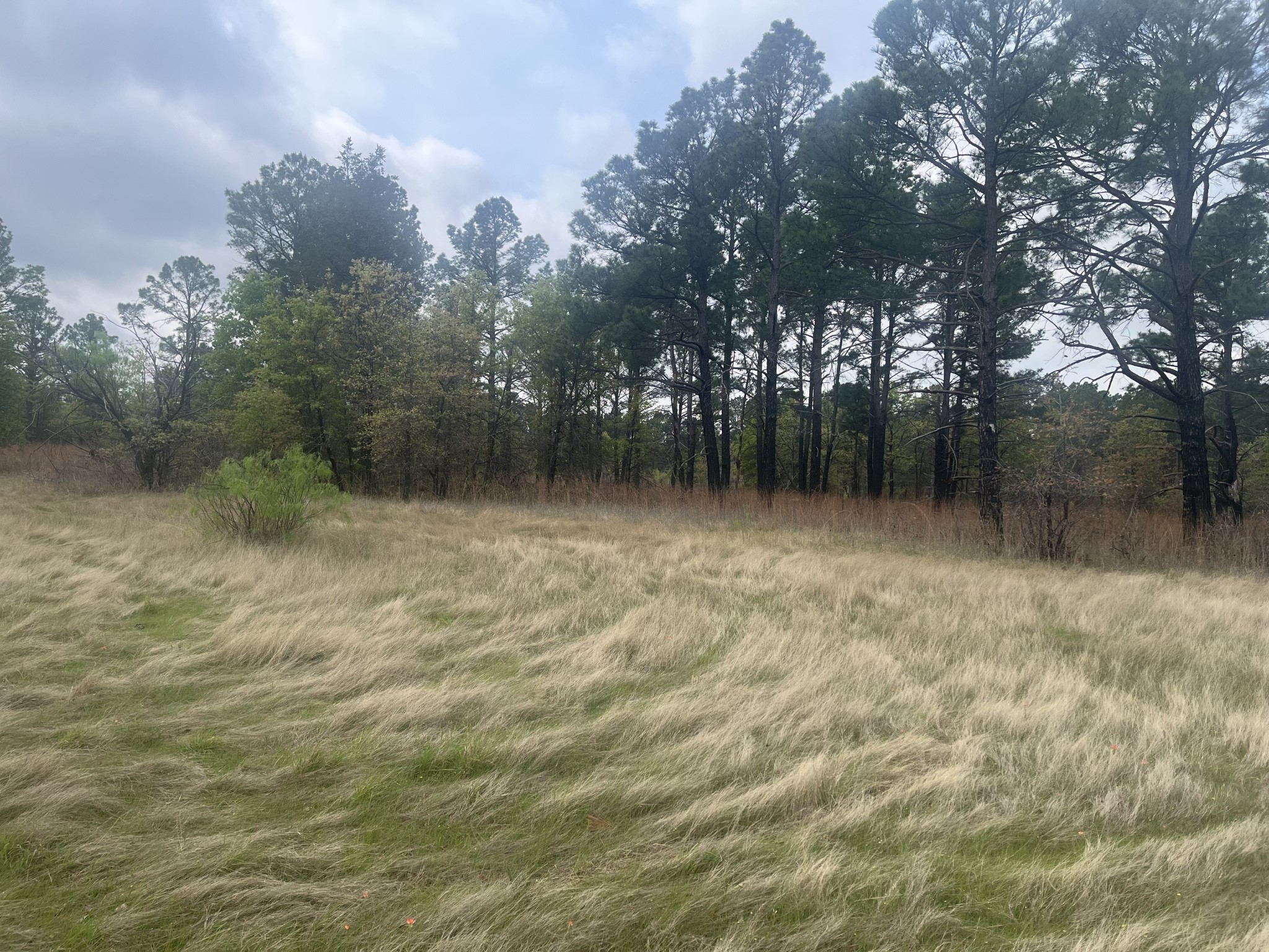 2548 County Road 2690 Alvord TX 76225