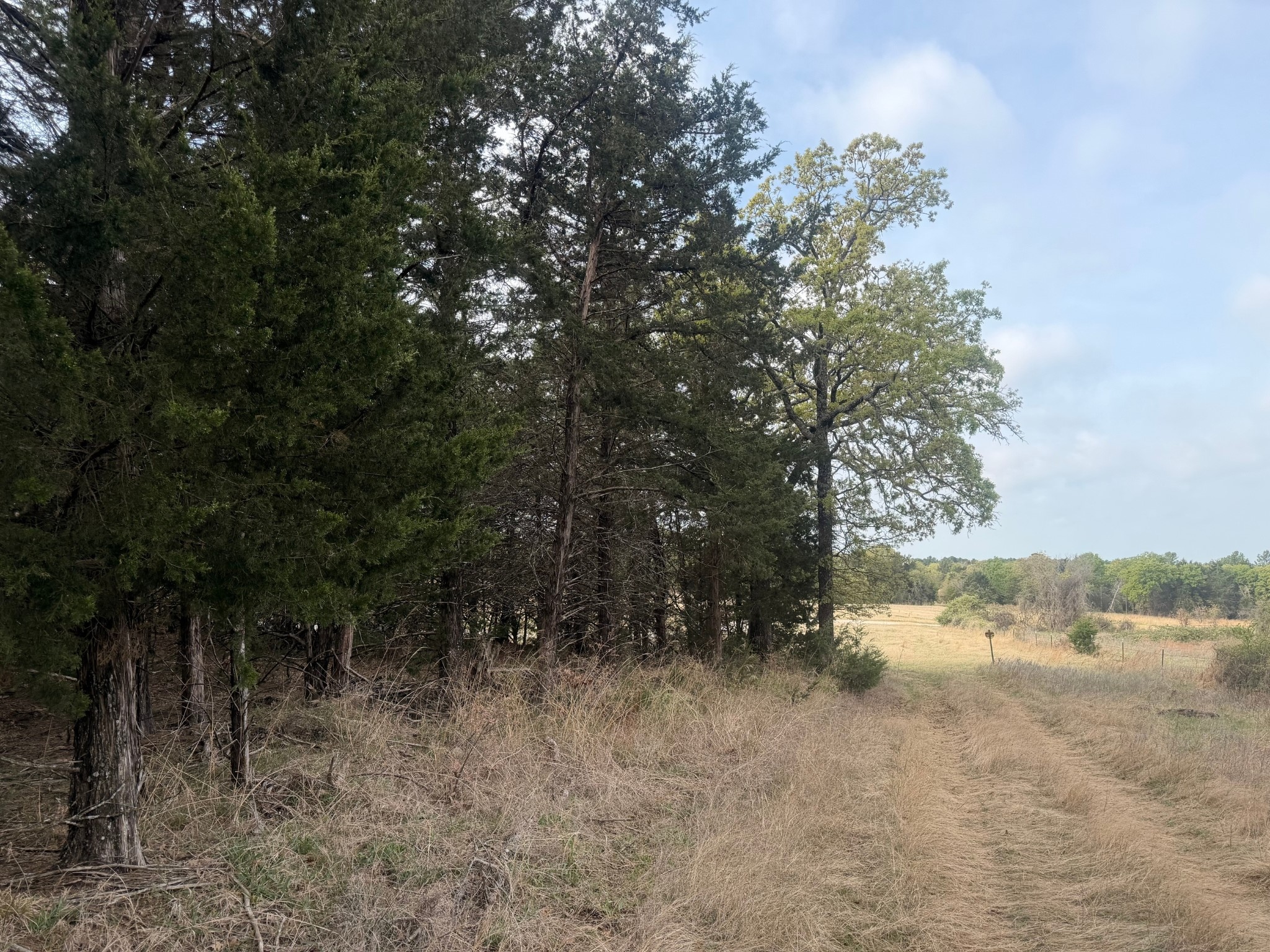 2548 County Road 2690 Alvord TX 76225