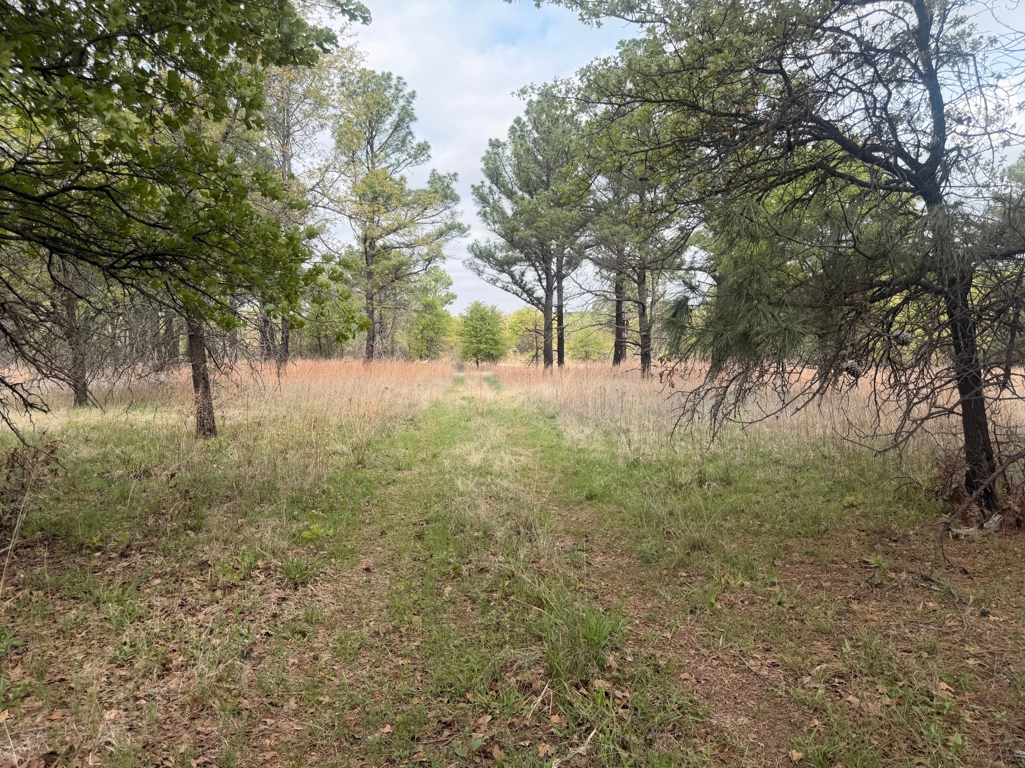 2548 County Road 2690 Alvord TX 76225